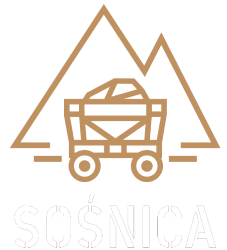 logo Sośnica